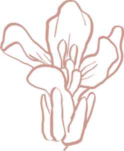 pictogramme rose - fleur de colza