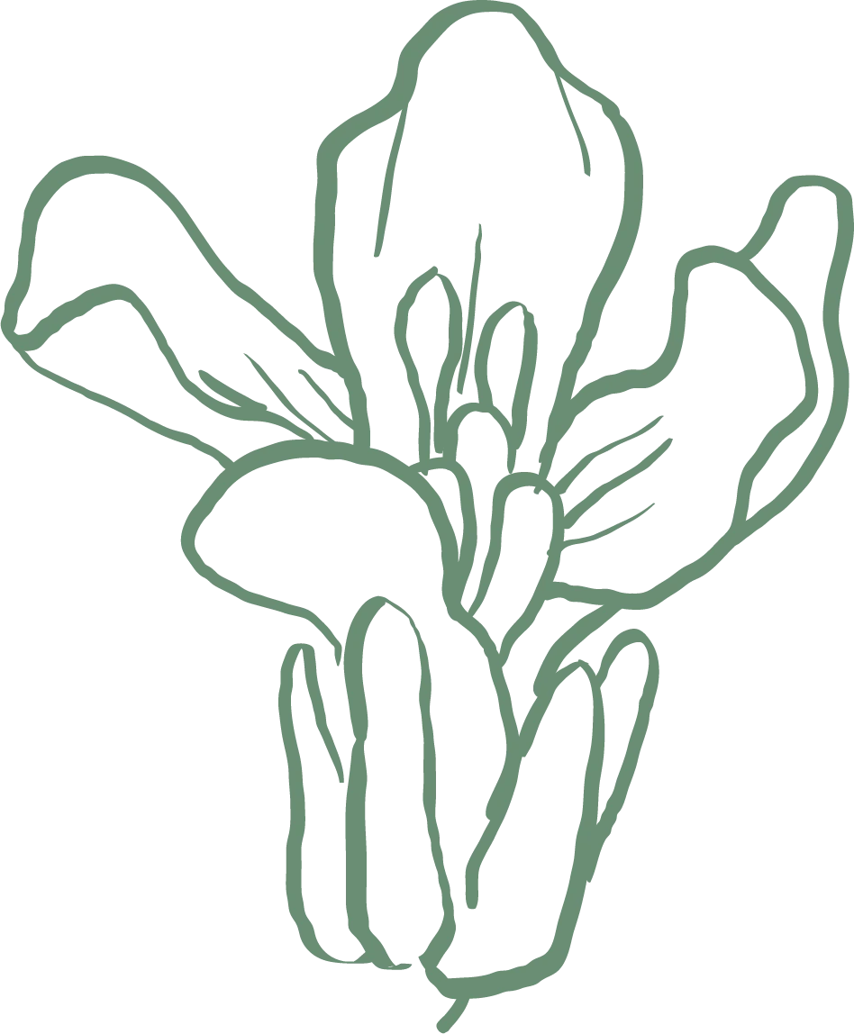Cire_comp pictogramme rose - fleur de colza