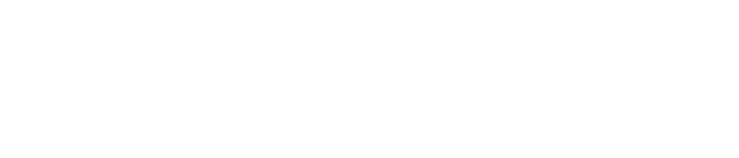 Logo_blanc_brand_comp